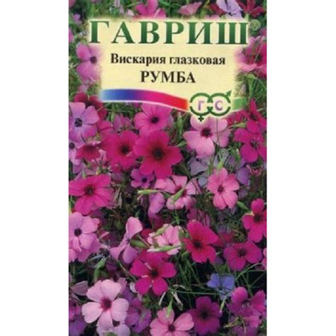 Вискария глазковая Румба Гавриш купить от 35 рублей в Санкт-Петербурге
