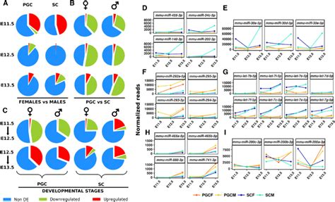 Differential MiRNA Expression During Gonad Development A Results Of