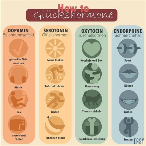 easy Infografiken on Instagram Wir können es nicht leugnen der