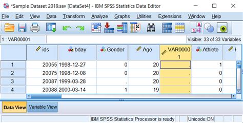 Spss Tutorials Data Creation In Spss Hkt Consultant