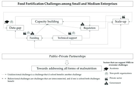 Overview of interconnected food fortification challenges and potential ...