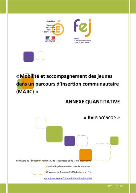 Pdf Mobilit Et Accompagnement Des Jeunes Dans Un Parcours D