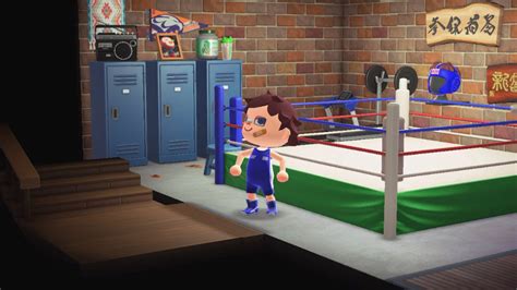 My Basement Boxing Gym Animalcrossing Boxing Gym Gym Animal Crossing