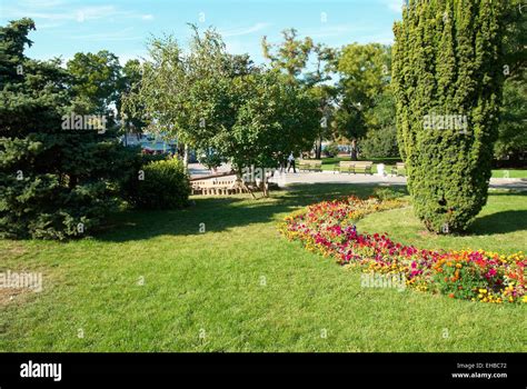 Green sunny park with flowers and trees Stock Photo - Alamy