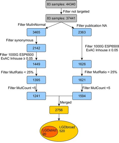 Schematic Of The Analytical Workflow A Two Step Variant Filtering And