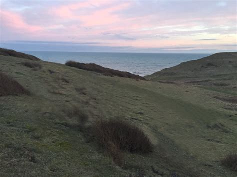 Seaford Head Nature Reserve | Marek's Moths