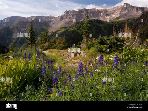 Mts Subalpine Hi Res Stock Photography And Images Alamy