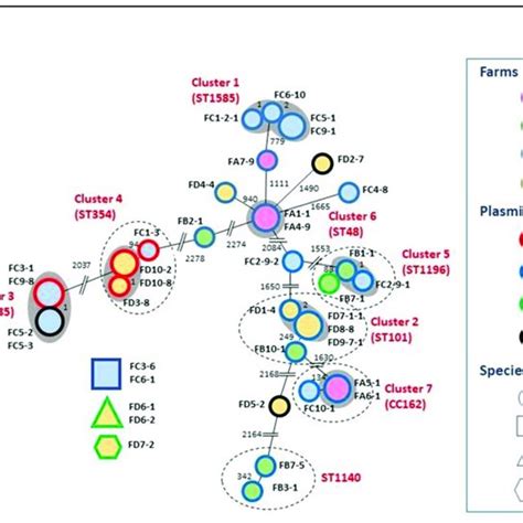 Minimum Spanning Tree Based On The Cgmlst Of The Mcr Carrying