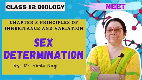 Sex Determination Principles Of Inheritance And Variation Ncert Chapter 5 Class 12 Biology