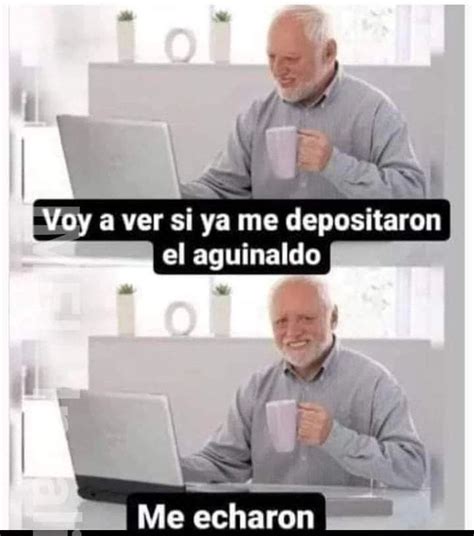 Voy A Ver Si Ya Me Depositaron El Aguinaldo Me Echaron Memes