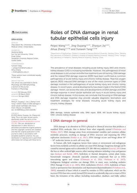 Pdf Roles Of Dna Damage In Renal Tubular Epithelial Cells Injury