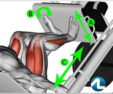 Quem tem condromalácia patelar pode fazer Leg Press