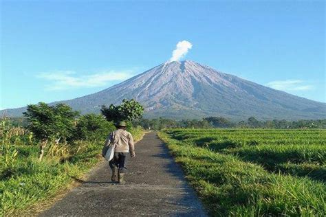 Gunung Semeru Alami 19 Kali Gempa Letusan Status Siaga