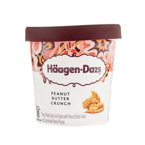 Haagen Dazs Peanut Butter Crunch Ice Cream 460 Ml Online At Best Price