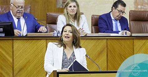 El Parlamento De Andaluc A Convalida Las Medidas Y Actuaciones Del