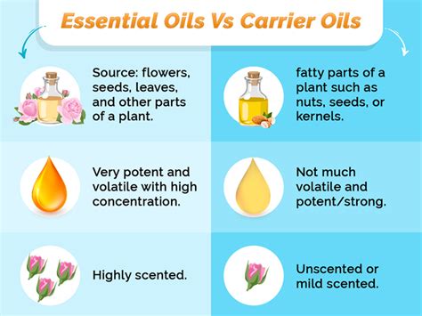 15 Best Oils For Healthy Hair Growth And Thickness Skinkraft