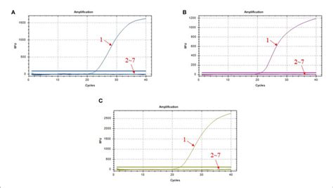 Figure Amplification Curves In The Specificity Test Of Triplex