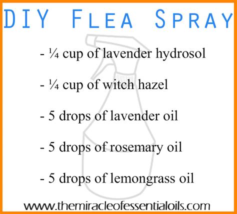 DIY Essential Oil Flea Spray - The Miracle of Essential Oils