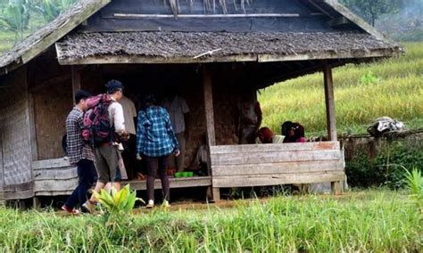 Lembaga Pelatihan Dan Pengembangan SDM