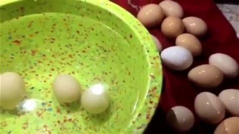 How To Check Egg Freshness And Make Sure They Are Still Good Youtube