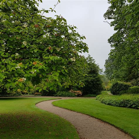 Lanhydrock And Respryn Circular Walk All You Need To Know Before You