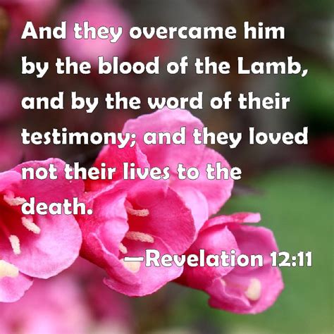 Revelation 1211 And They Overcame Him By The Blood Of The Lamb And By