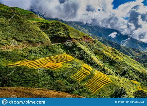 Mu Cang Chai Landscape Terraced Rice Field Near Sapa Stock Image