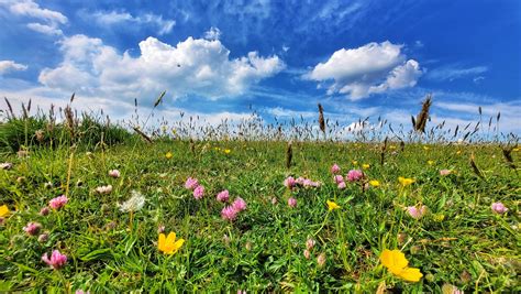 Northampton Neighbourhood Policing Team