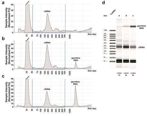 Ijms Free Full Text Msi Analysis In Solid And Liquid Biopsies Of