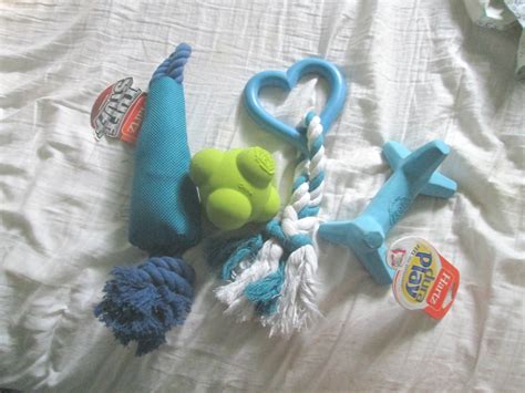 Hartz Dog Toys & Shampoo Review | Emily Reviews