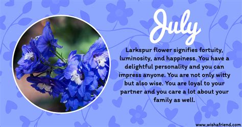 Larkspur July Birth Flower | Best Flower Site