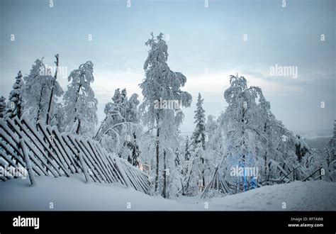 Glass igloo lapland northern lights hi-res stock photography and images ...