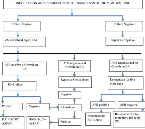 Frontiers Sub Optimal Specificity Of Modified Ziehl Neelsen Off