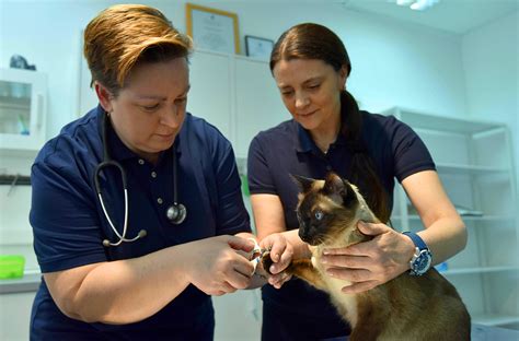 Veterinarska Ambulanta Vet Life O Nama