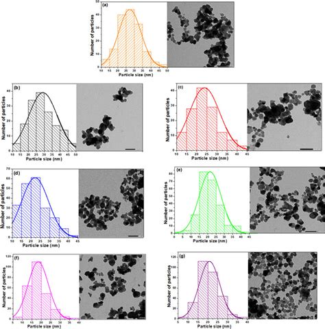 Particle Size Distribution Histograms And Tem Images Of X