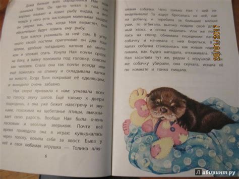 Книга: Ная-выдрёнок: рассказы - Вера Чаплина. Купить книгу, читать ...