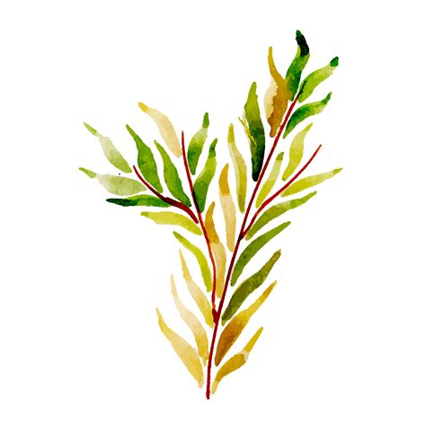 Hand Drawn Watercolor Leaf 668748 Vector Art at Vecteezy