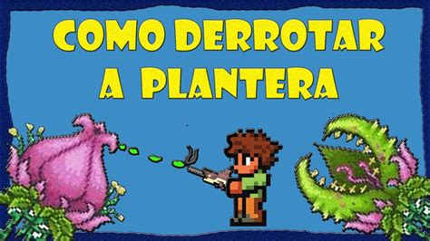 COMO DERROTAR A PLANTERA LA FORMA MAS FACIL MODO NORMAL TERRARIA 1