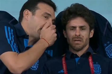 Mundial Qatar Scaloni Y La Viral Emocin De Pablo Aimar Habra