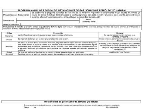 Revisión De Instalaciones De Gasseguridad E Higiene Industrial Formatos