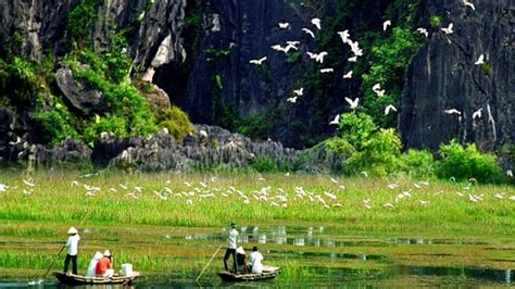 Thung Nham Travel Experience Discovering The Kingdom Of Birds In