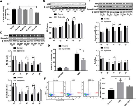 Epalrestat Maintains The Barrier Function Of The Bloodbrain Barrier