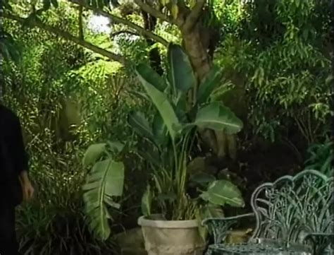 Intimate Buss Parte Free Porn Video C XHamster