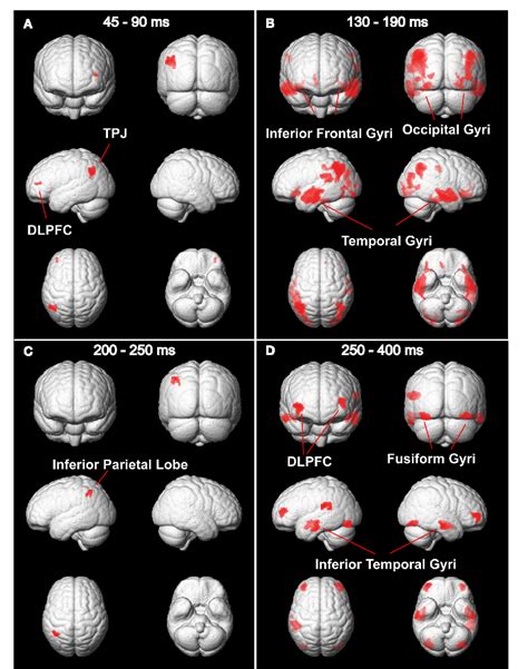 Figure 1 From Human Neuroscience Original Research Article Meditation