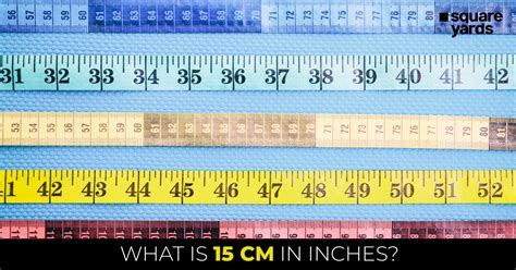 𝟭𝟱 𝗖𝗲𝗻𝘁𝗶𝗺𝗲𝘁𝗲𝗿 𝘁𝗼 𝗜𝗻𝗰𝗵𝗲𝘀 | 1 cm is 0.393 inches in Canada