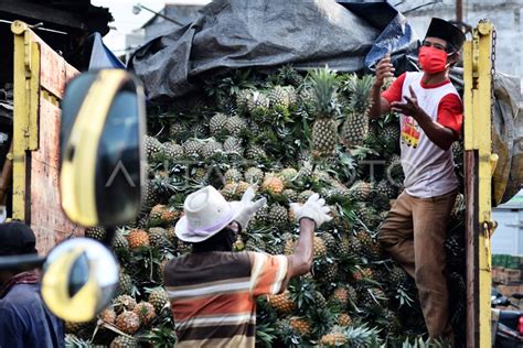 Peluang Komoditas Buah Buahan Nasional Antara Foto