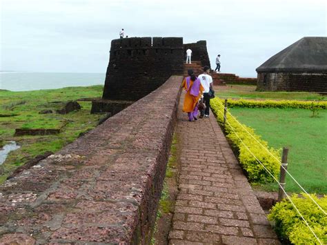 tulu research studies november
