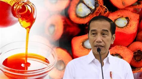 Petani Punya Posisi Tawar Kuat Lewat Minyak Makan Merah Seputar Cibubur