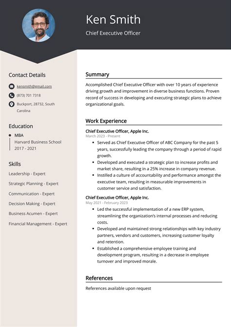 Chief Executive Officer Cv Example For