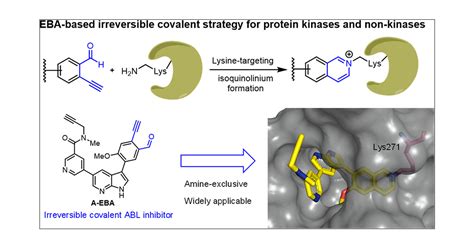 2 Ethynylbenzaldehyde Based Lysine Targeting Irreversible Covalent